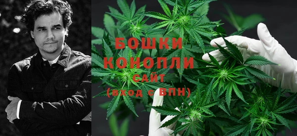 стаф Новозыбков